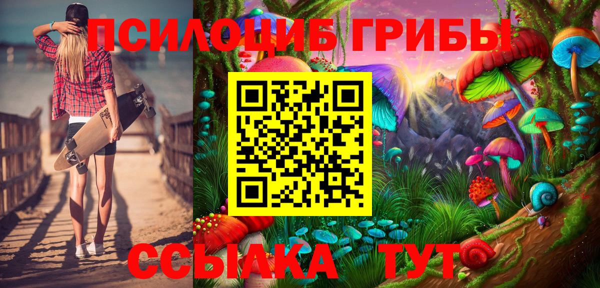 Тимашёвск  Псилоцибиновые грибы Magic Shrooms  Вход с VPN 